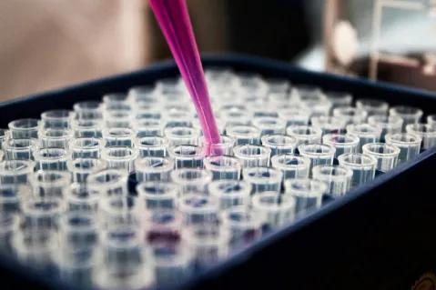 pink pipette over a case with various vials